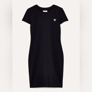 Aritzia TNA Hayeswater Dress